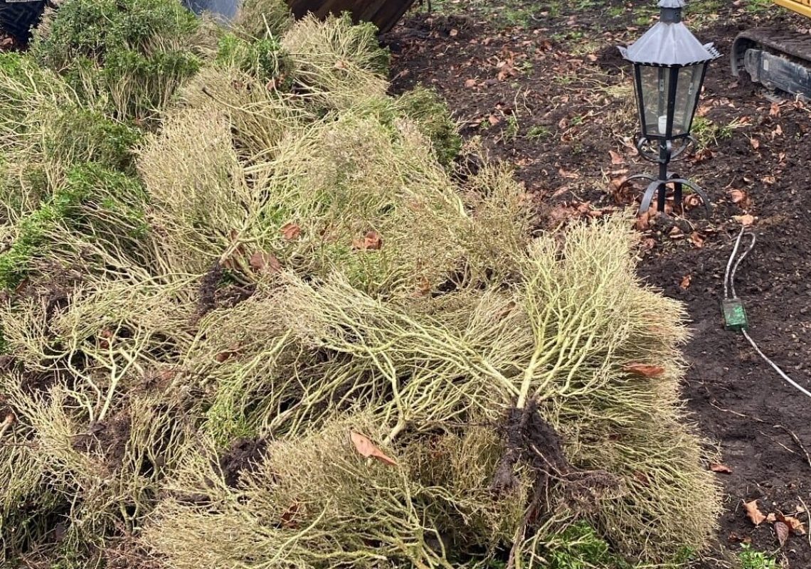 9903B7E1-C4CD-43DC-8868-009E7EB4116F